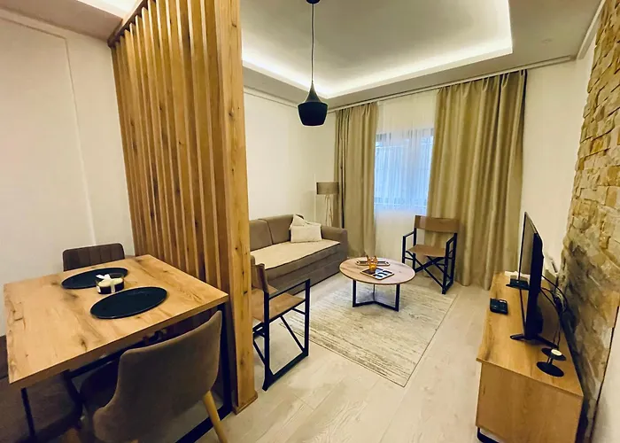 Anilu Milmari N40 公寓 科帕奥尼克