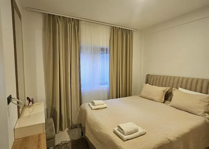 Anilu Milmari N40 * 科帕奥尼克